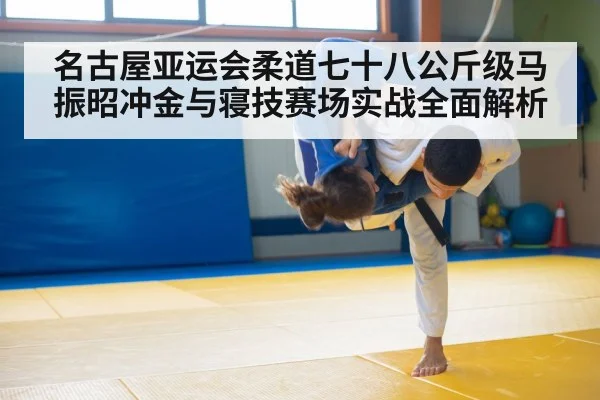 judo grappling mat